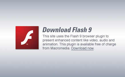 No Flash Player Image